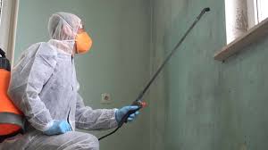 Best Asbestos and Lead Testing During Mold Inspection  in Beach City, TX